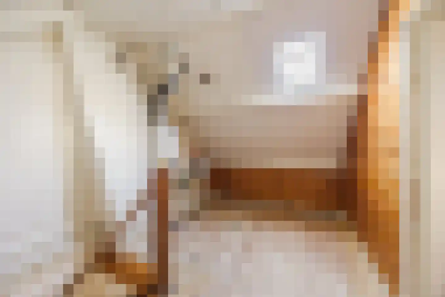 Dautzenbergstraat 2 Oud Gastel thumbnail 31