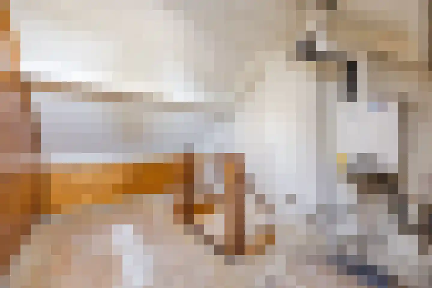 Dautzenbergstraat 2 Oud Gastel thumbnail 32