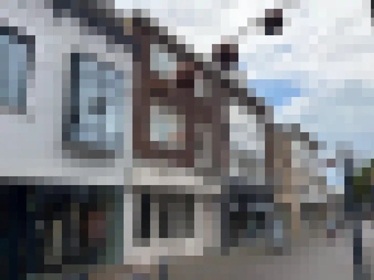Dautzenbergstraat 27 Heerlen thumbnail 23