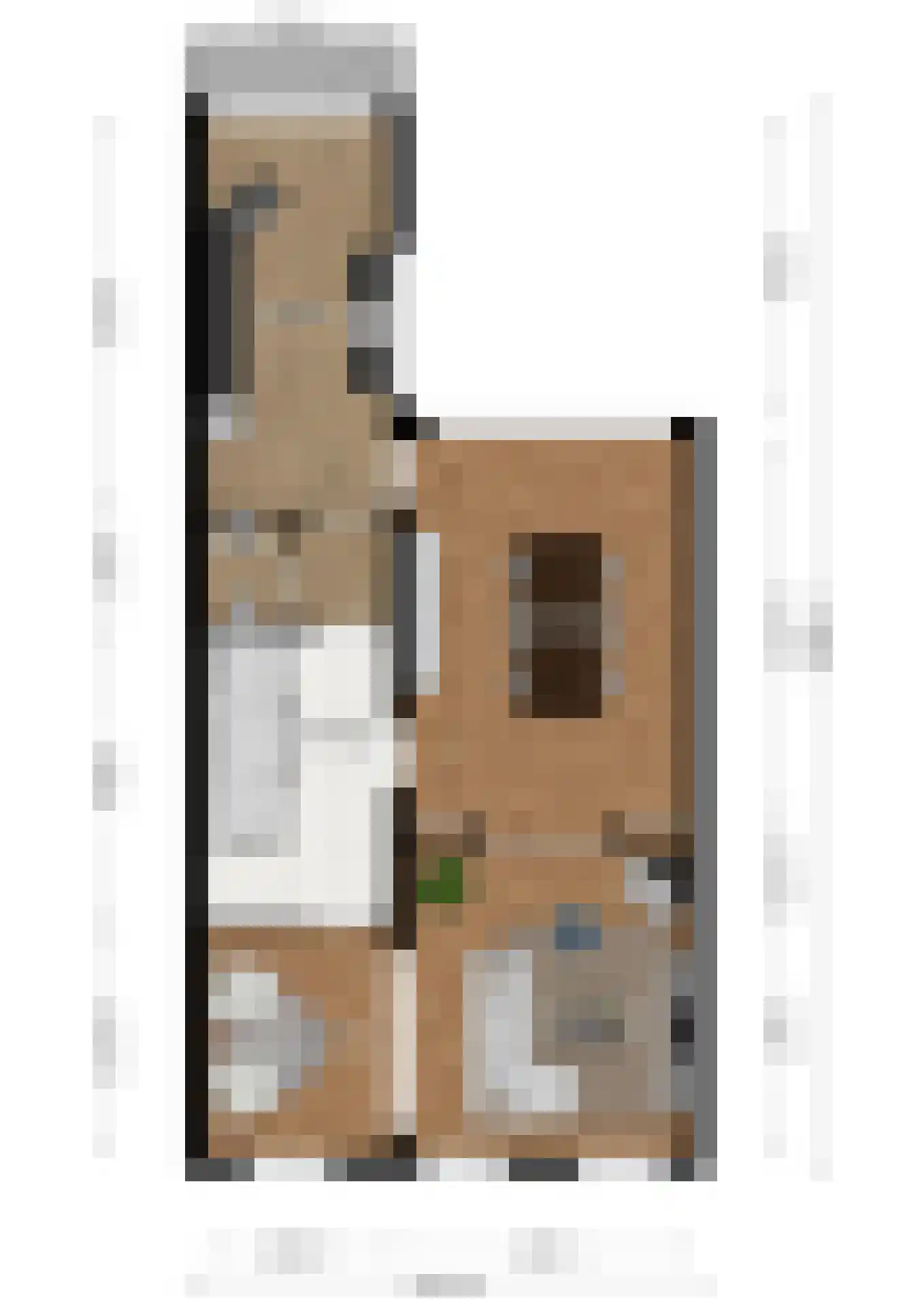 Dautzenbergstraat 42 Heerlen thumbnail 38