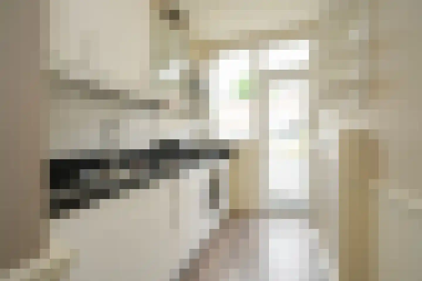 Dautzenbergstraat 9 Den Haag thumbnail 5