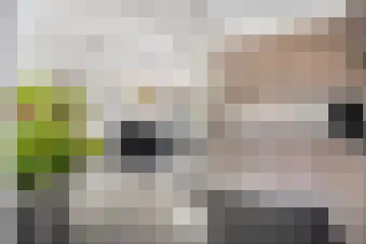 Dauwdruppelhof 2 Fijnaart thumbnail 15