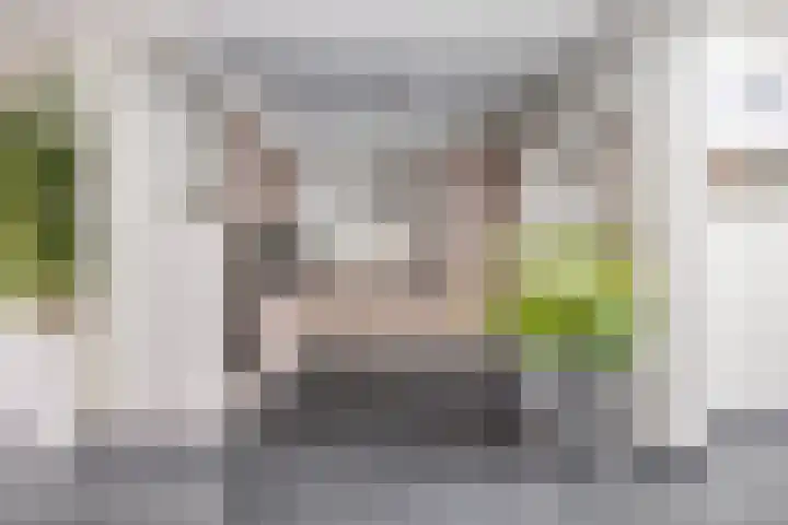 Dauwdruppelhof 2 Fijnaart foto 3