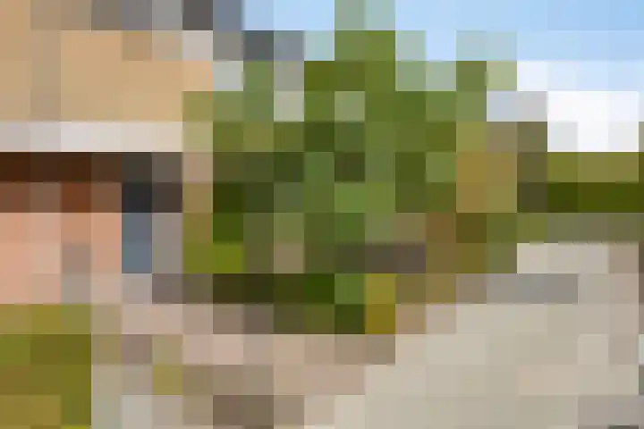 Dauwdruppelhof 2 Fijnaart thumbnail 4