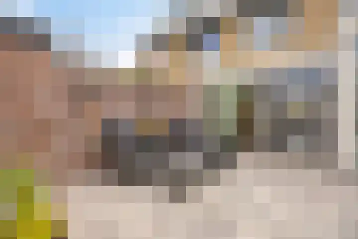 Dauwdruppelhof 2 Fijnaart thumbnail 40