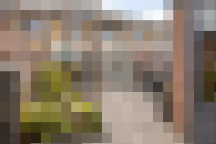 Dauwdruppelhof 2 Fijnaart thumbnail 41