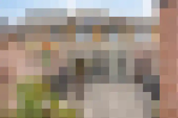 Dauwdruppelhof 2 Fijnaart thumbnail 42