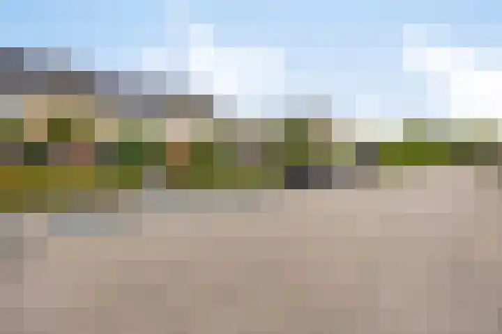 Dauwdruppelhof 2 Fijnaart thumbnail 43