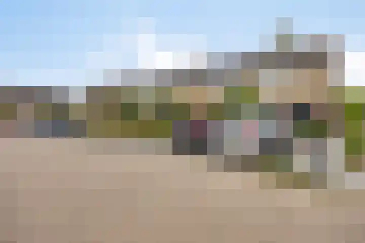 Dauwdruppelhof 2 Fijnaart thumbnail 44