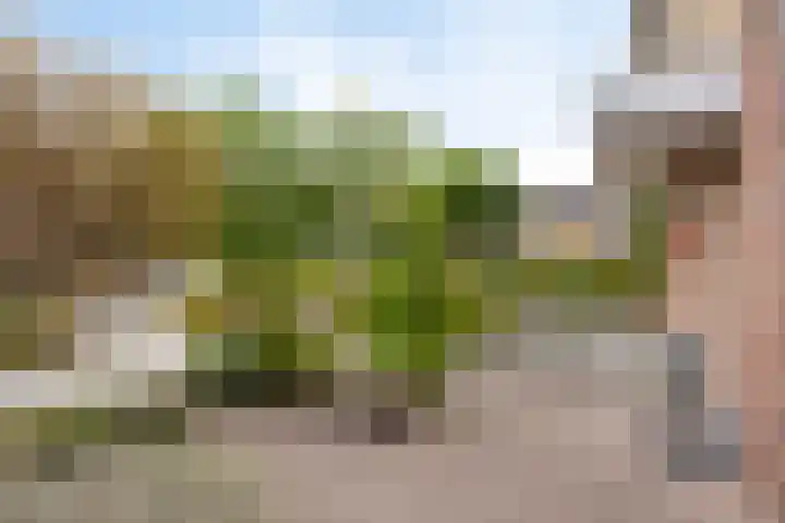 Dauwdruppelhof 2 Fijnaart thumbnail 5