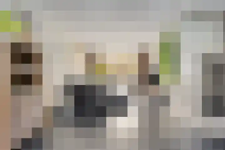 Dauwdruppelhof 2 Fijnaart thumbnail 9