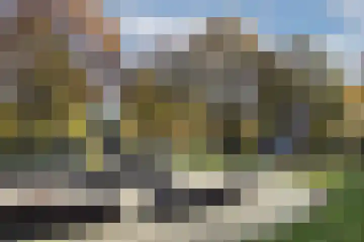 Dauwnetel 40 Oldenzaal thumbnail 32