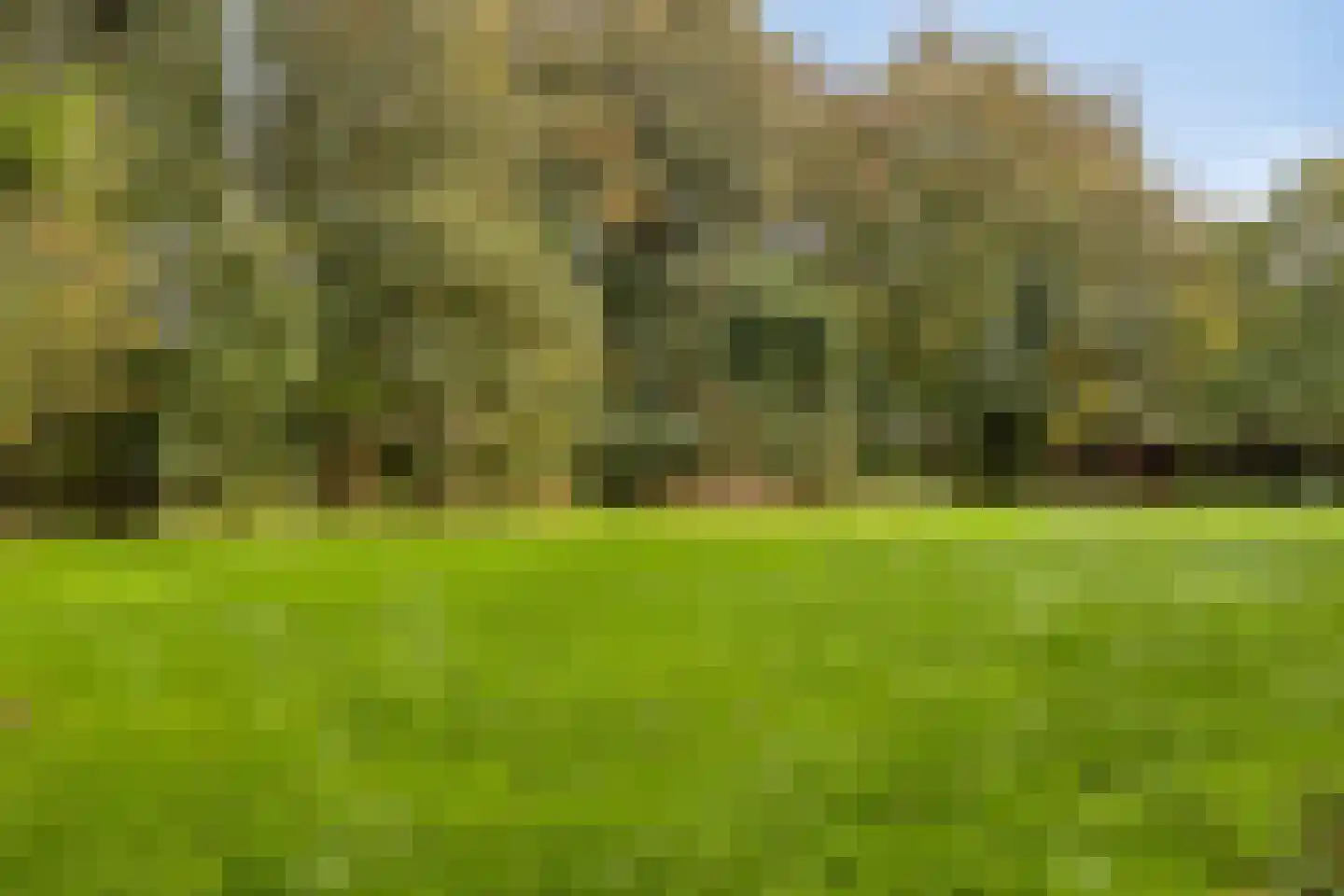 Dauwnetel 50 Oldenzaal thumbnail 31