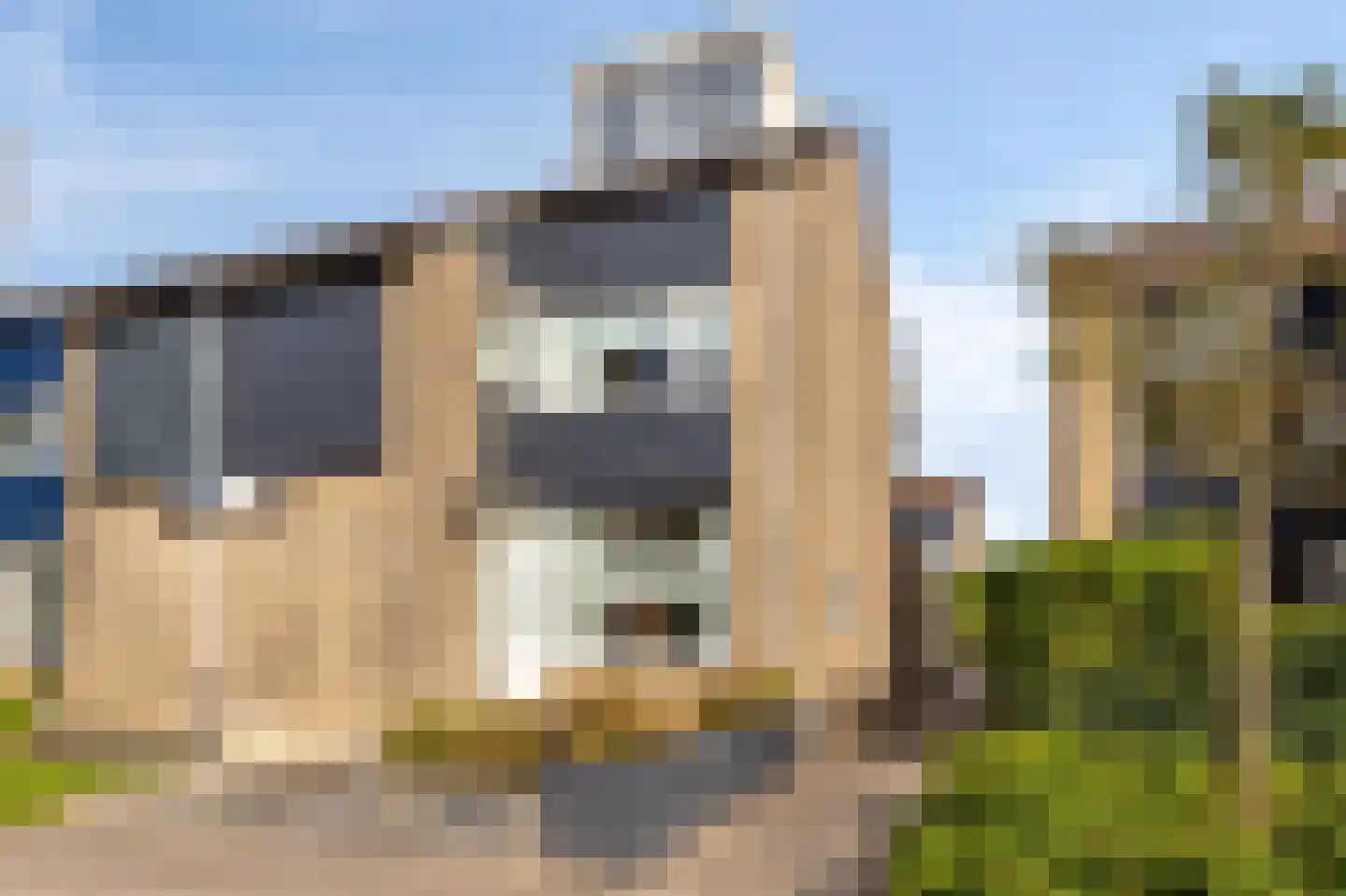 Dauwnetel 50 Oldenzaal thumbnail 6