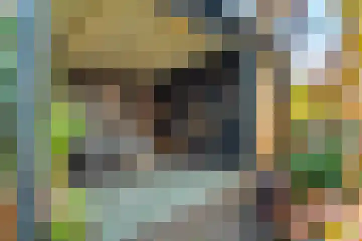 Davelaarsgoed 3 Putten foto 3