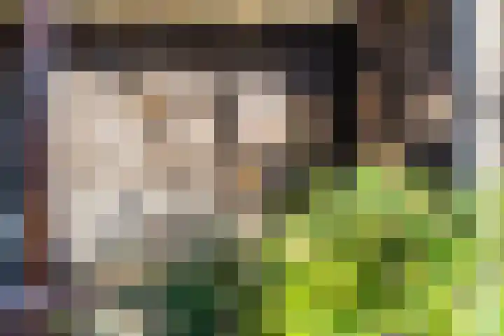 Davelaarsgoed 3 Putten thumbnail 30