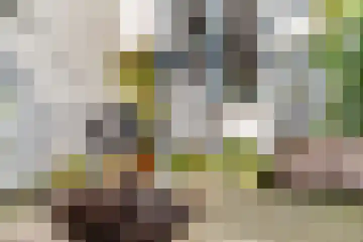 Davelaarsgoed 3 Putten thumbnail 31