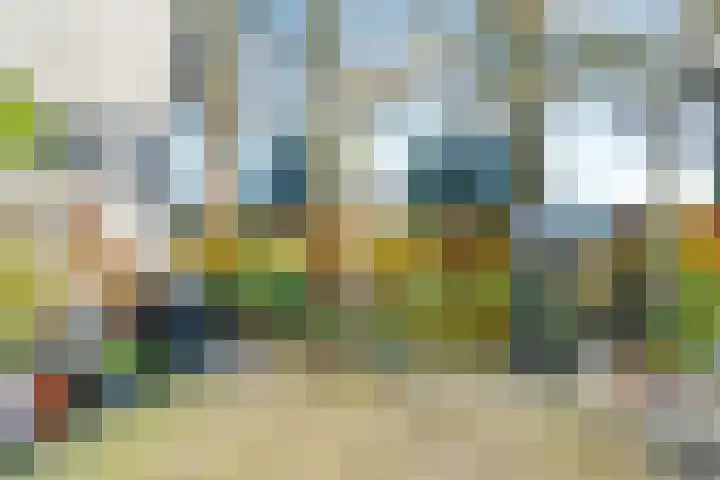 Davelaarsgoed 3 Putten thumbnail 32
