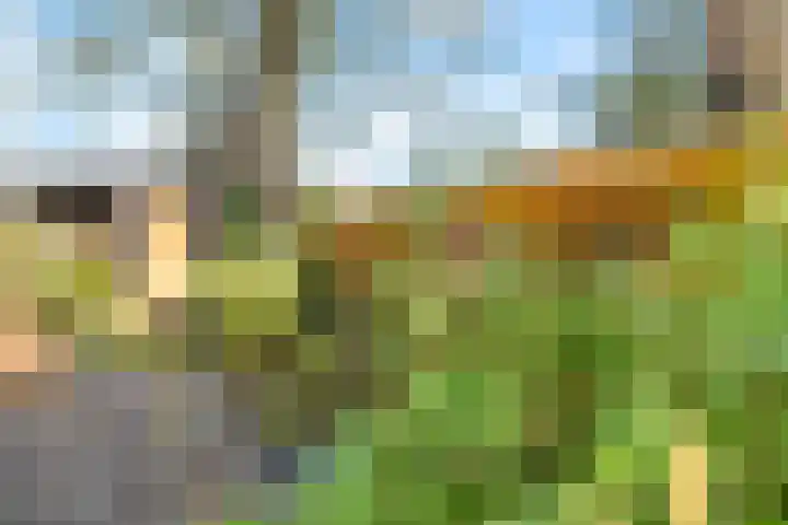 Davelaarsgoed 3 Putten thumbnail 33