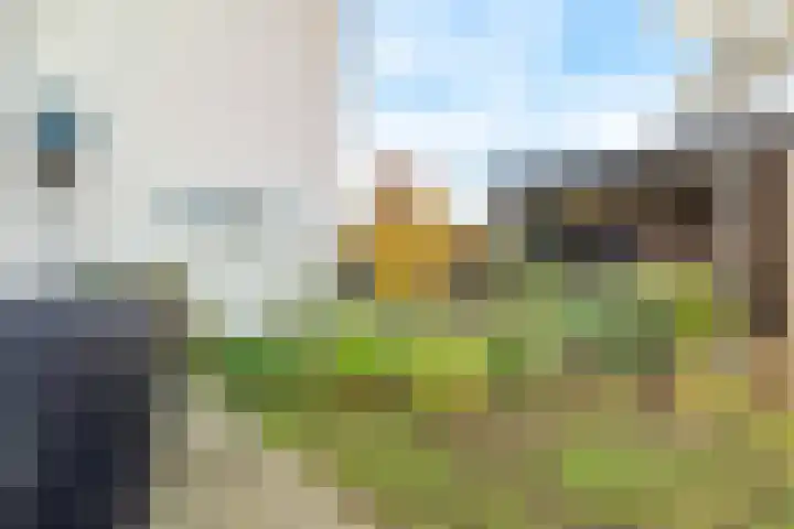 Davelaarsgoed 3 Putten thumbnail 34