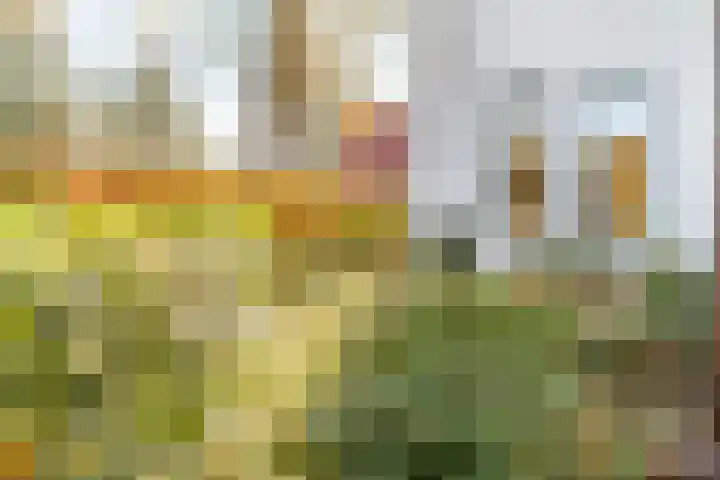 Davelaarsgoed 3 Putten thumbnail 35
