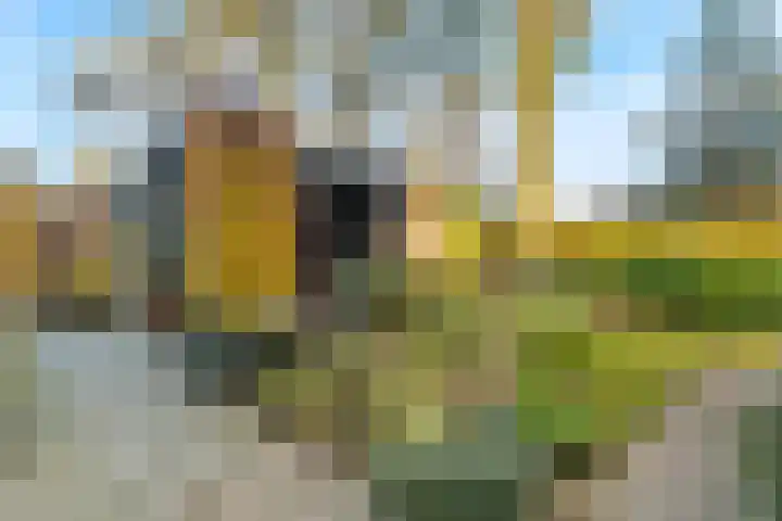 Davelaarsgoed 3 Putten thumbnail 36