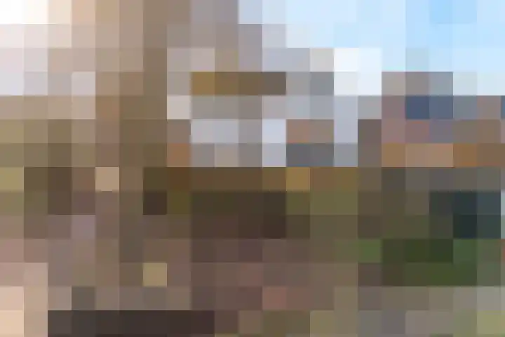 Davelaarsgoed 3 Putten thumbnail 37