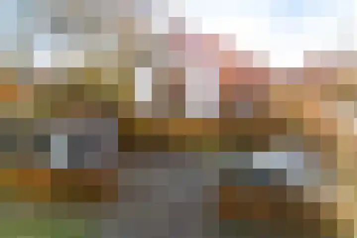 Davelaarsgoed 3 Putten thumbnail 38