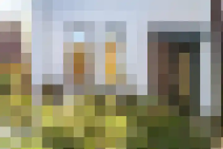 Davelaarsgoed 3 Putten thumbnail 41