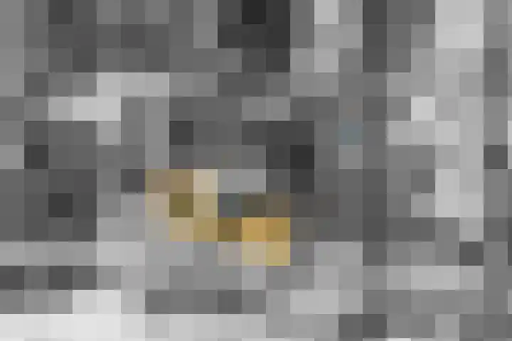 Davelaarsgoed 3 Putten thumbnail 46