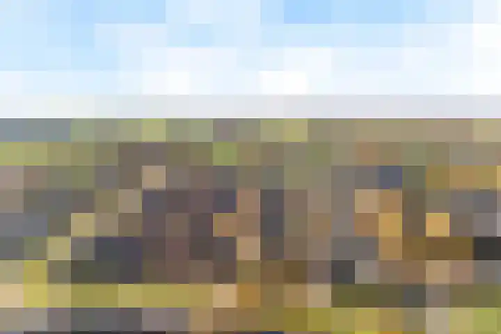 Davelaarsgoed 3 Putten thumbnail 47