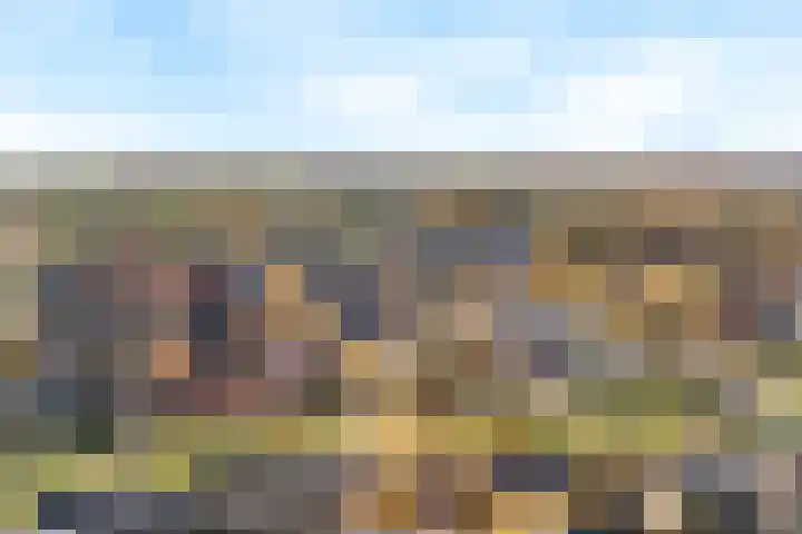 Davelaarsgoed 3 Putten thumbnail 48