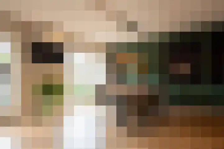 Davelaarsgoed 44 Putten thumbnail 10