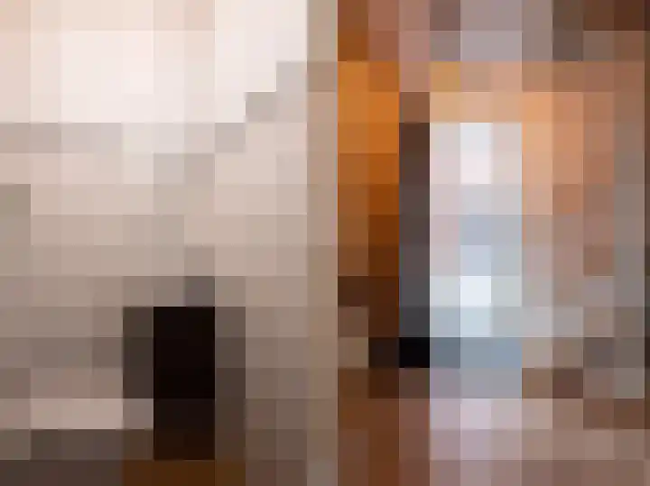 Davelaarsgoed 44 Putten thumbnail 12
