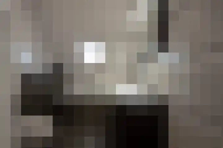 Davelaarsgoed 44 Putten thumbnail 17