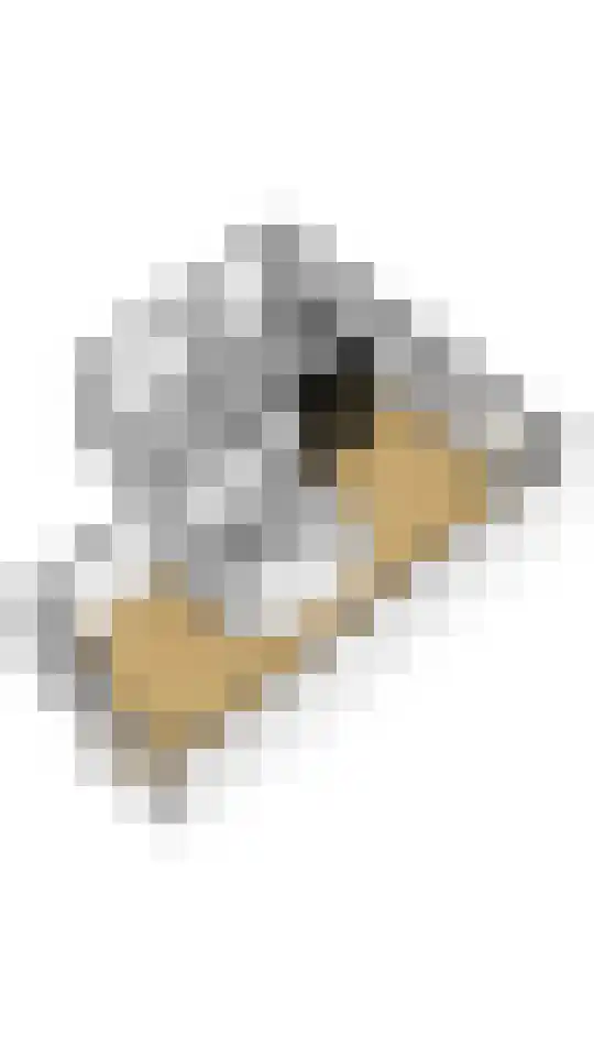 Davelaarsgoed 44 Putten thumbnail 29