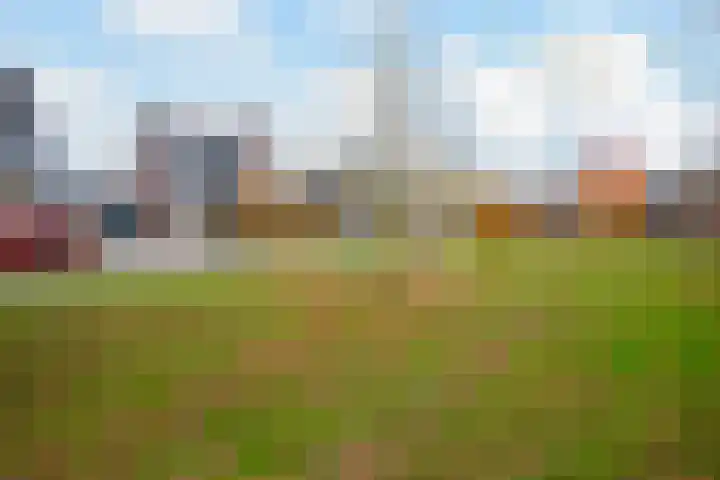 Davelaarsgoed 44 Putten foto 3
