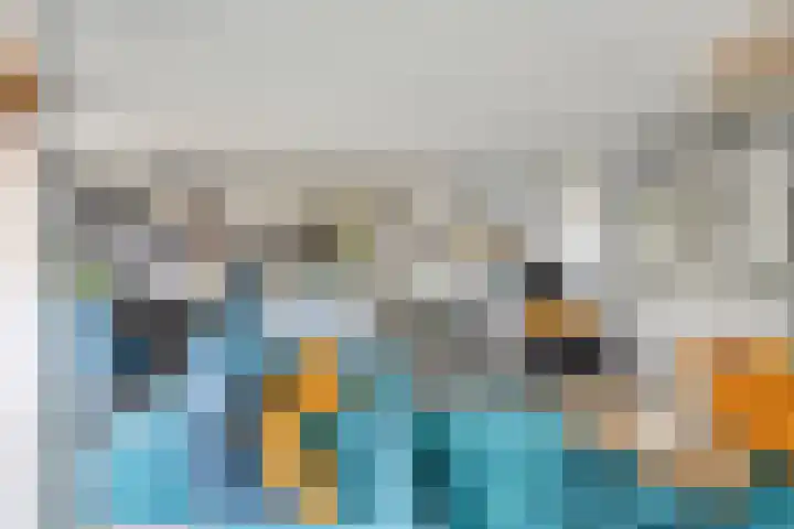 Davelaer 12 St.-Annaparochie thumbnail 13