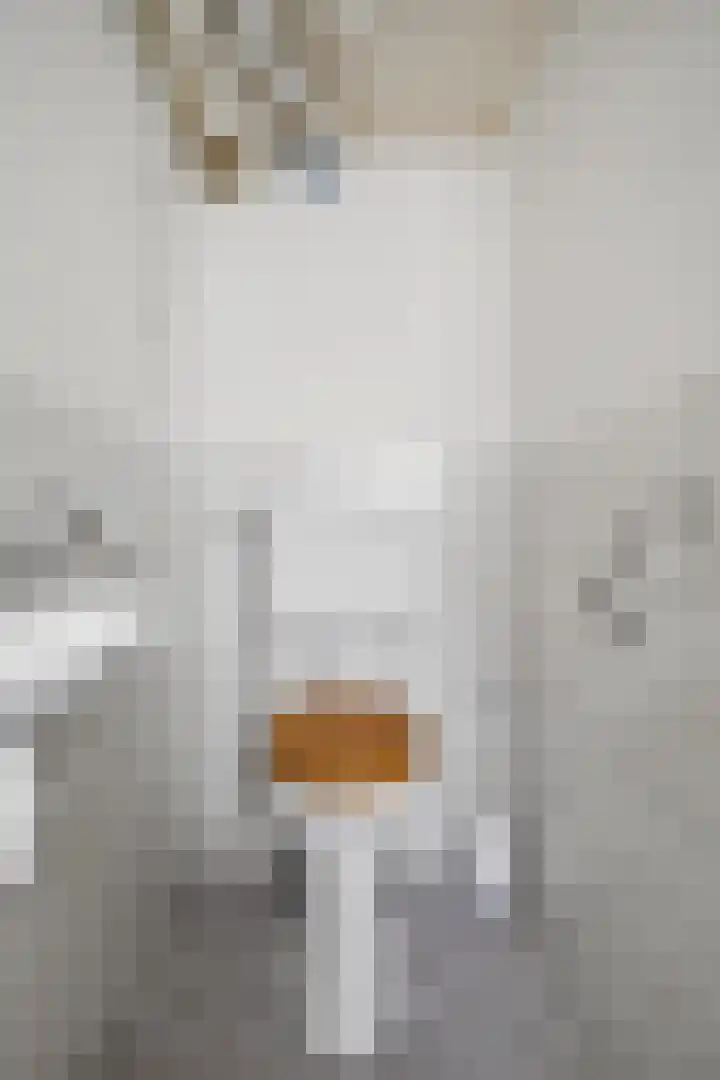 Davelaer 12 St.-Annaparochie thumbnail 17
