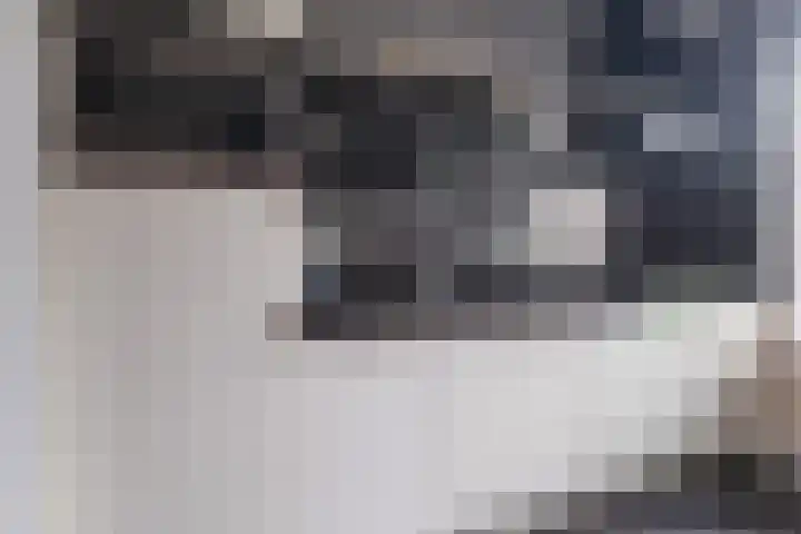 Davelaer 12 St.-Annaparochie thumbnail 18