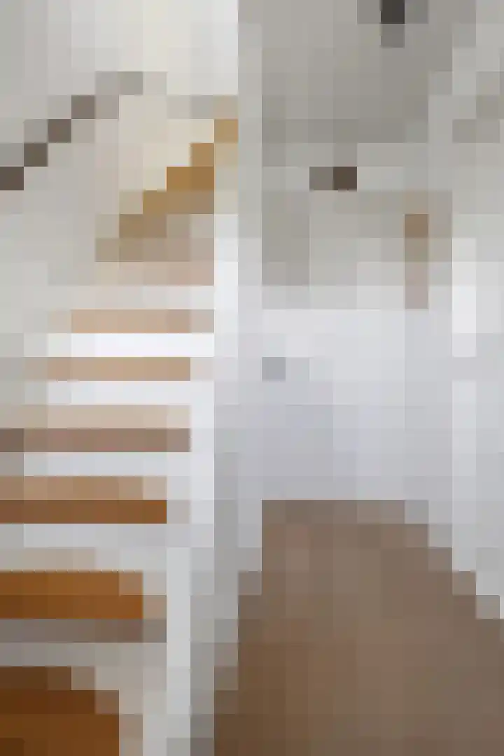 Davelaer 12 St.-Annaparochie thumbnail 20