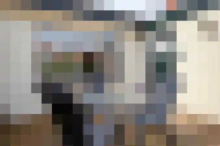 Davelaer 12 St.-Annaparochie thumbnail 31