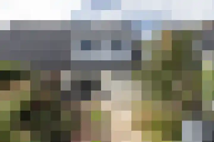 Davelaer 12 St.-Annaparochie thumbnail 33
