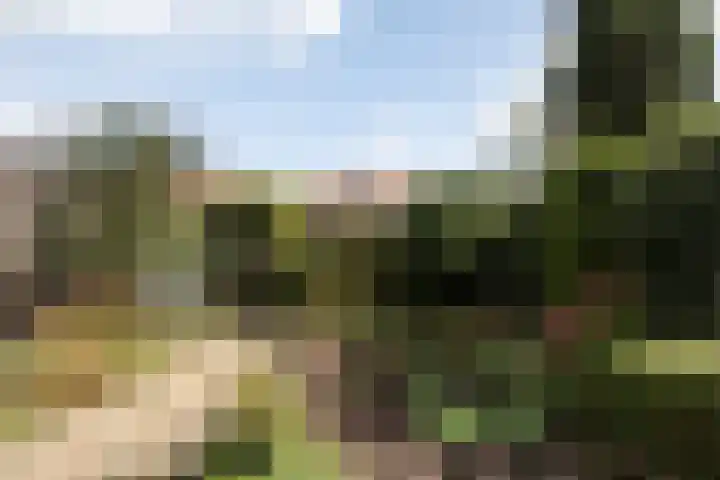 Davelaer 12 St.-Annaparochie thumbnail 34