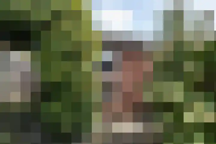Davelaer 12 St.-Annaparochie thumbnail 35
