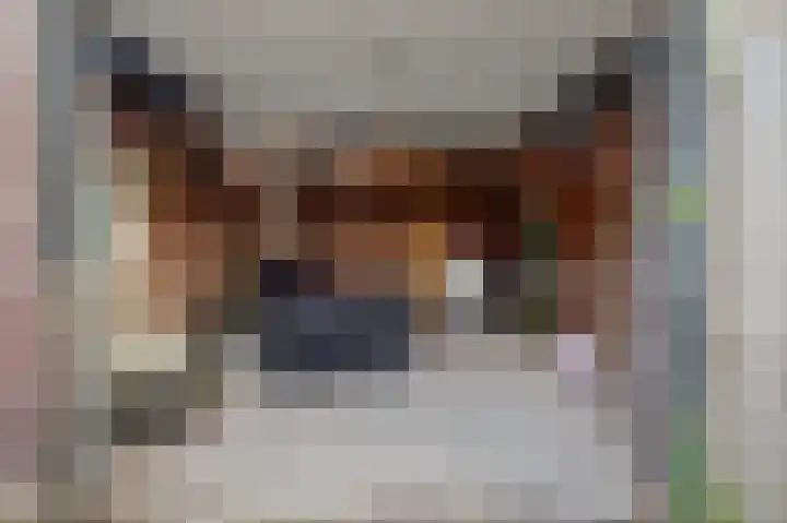 Davelaer 12 St.-Annaparochie thumbnail 38
