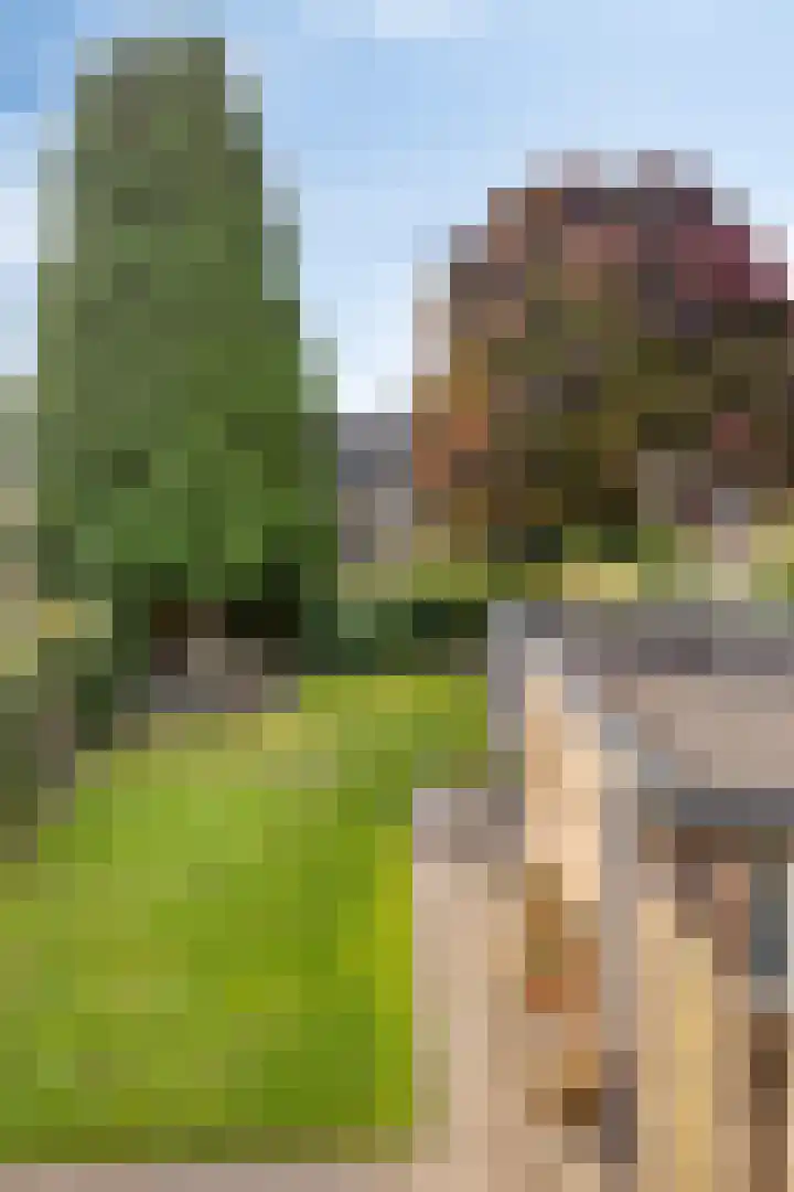 Davelaer 12 St.-Annaparochie thumbnail 39