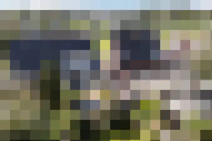 Davelaer 12 St.-Annaparochie thumbnail 44