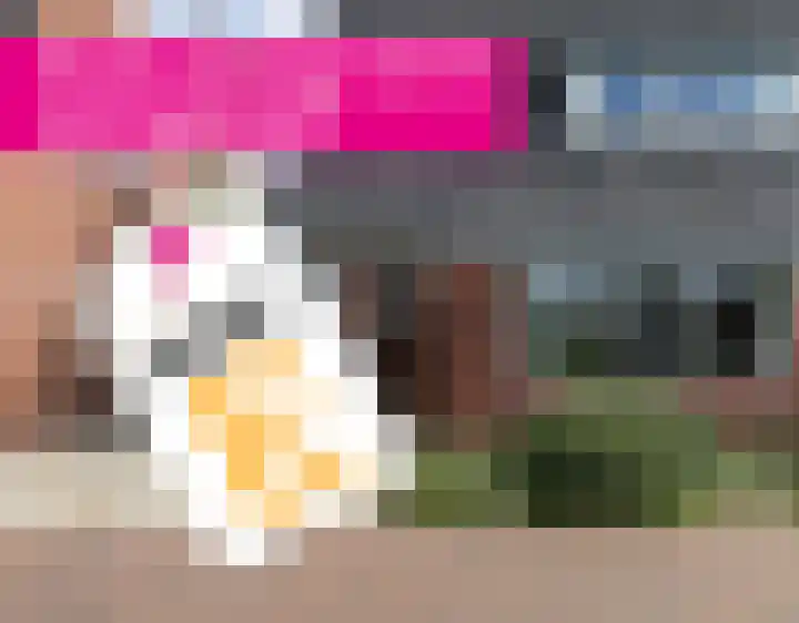 Davelaer 12 St.-Annaparochie thumbnail 46