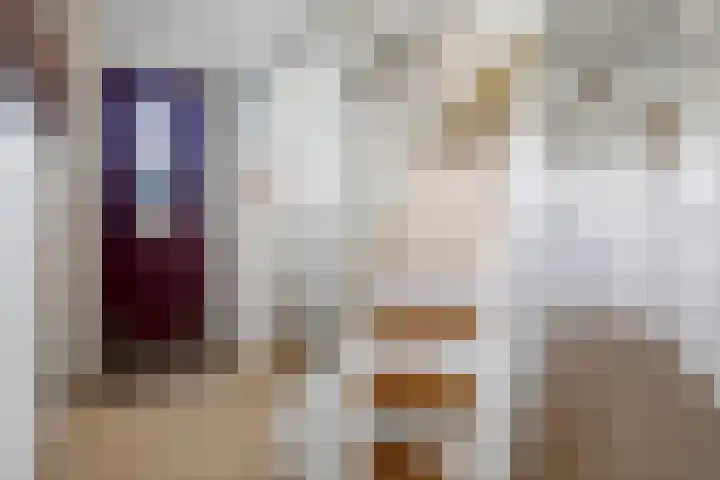 Davelaer 12 St.-Annaparochie thumbnail 8